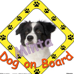 Dog on Board matrica