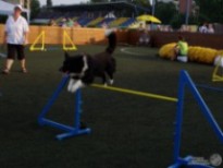 Motion picture from Agility