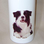 Váza borderrel díszítve