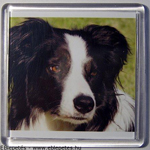 Hűtőmágnes műanyag tokkal