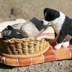 Ki van az én ágyamban?