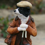 Border collie, a pásztor